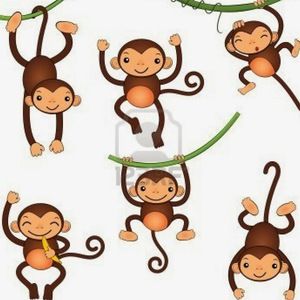 Meet your Posher, Araine